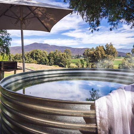 Arendsig Wine Estate & Cottages Bonnievale Exteriör bild