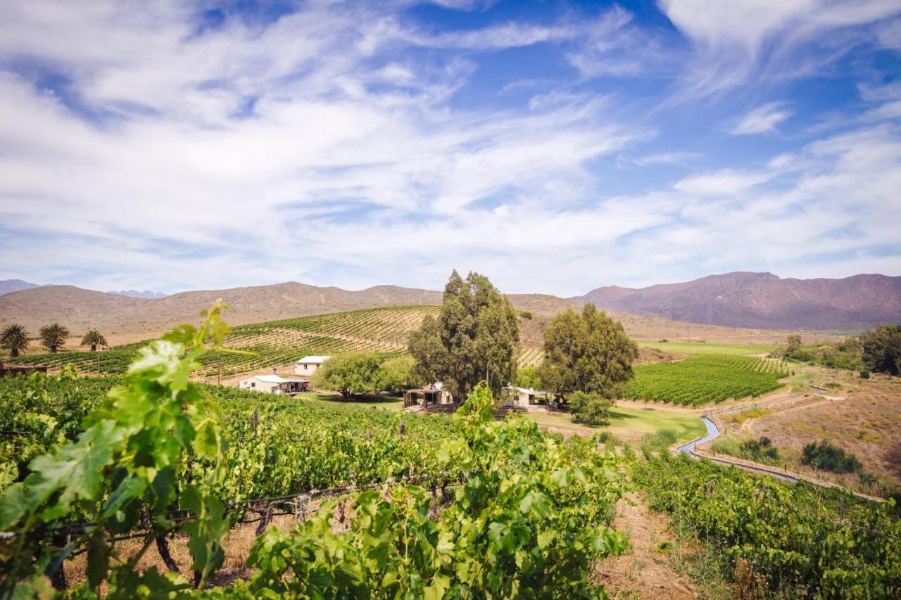 Arendsig Wine Estate & Cottages Bonnievale Exteriör bild